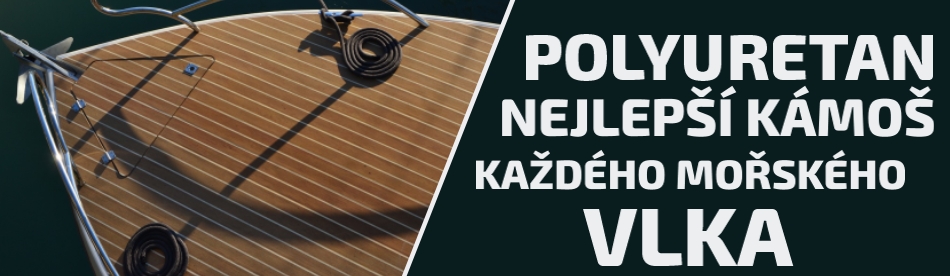 mořský vlk mořský vlk